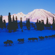 Image for article titled Iditarod Rookie Blair Braverman Is the Jack London of Twitter